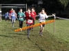 mg_4264-a