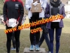 mg_5920-a