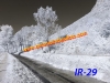 ir-29