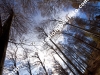mg_0326c_0