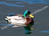 img_1635-640x480-copia